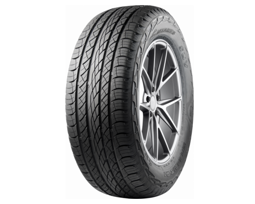 Шина Antares Majoris R1 295/35R21 107W