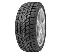 Шина Delinte Winter WD6 155/65R13 73T