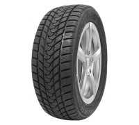Шина Delinte Winter WD1 245/45R19 98S