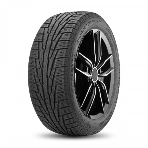 Шина Ikon tyres Character Snow 2 SUV 225/55R19 103T