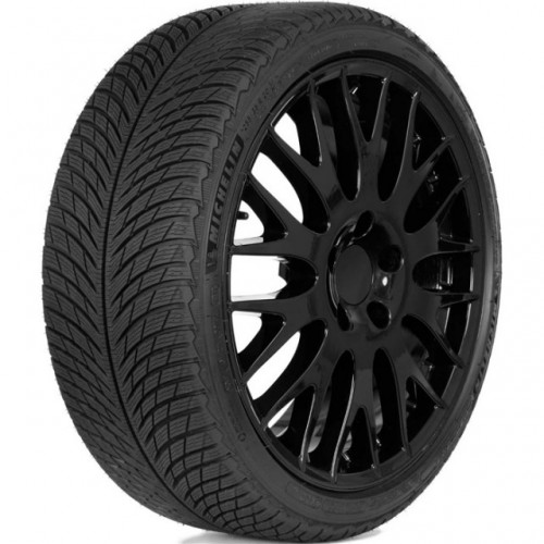 Шина Michelin Pilot Alpin 5 315/30R21 105V