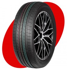 Шины - Nankang SP9