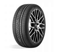 Шина Pirelli Formula Energy 225/55R19 99V