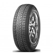 Шины - Roadstone NPriz 4S