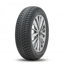 Шины - Roadstone WINGUARD SNOWG WH2